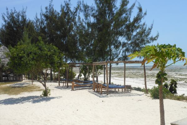 Mbuyuni Beach Village Jambiani (Zanzibar Island)